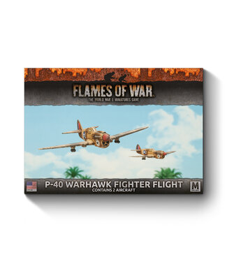 Flames of War P-40 Warhawk Fighter Flight