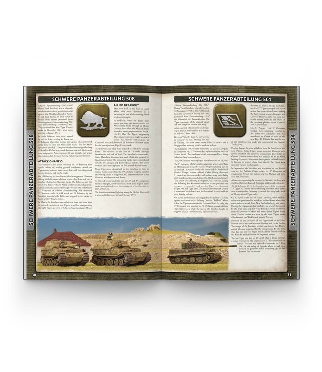 Liberation of Italy - Hardcover Book