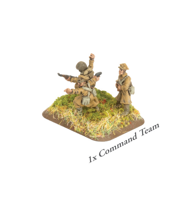 PRE-ORDER: Polish EW Rifle Platoon