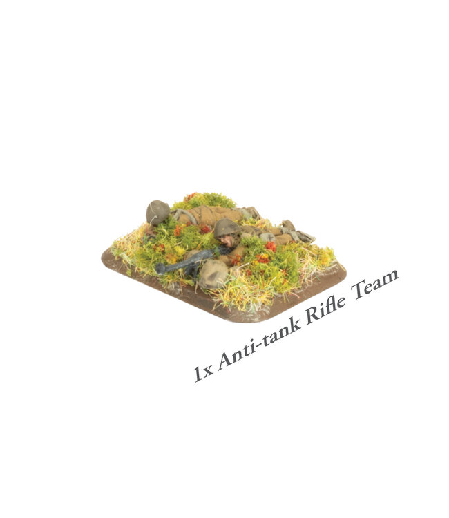 PRE-ORDER: Polish EW Rifle Platoon