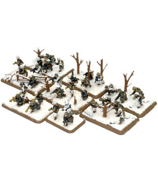 Flames of War Sturm Platoon (Winter)