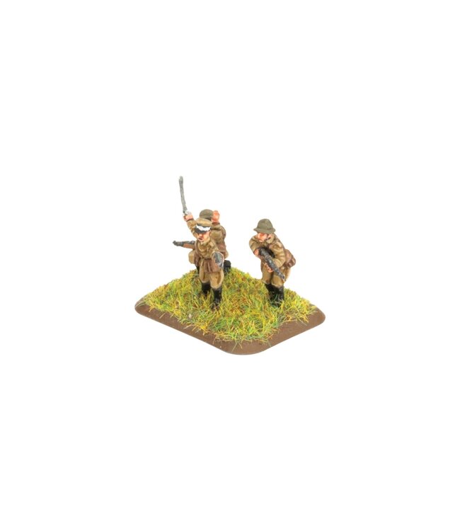 Polish EW Dismounted Cavalry Regiment