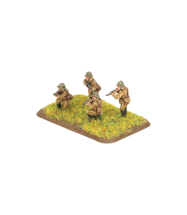 Polish EW Dismounted Cavalry Regiment