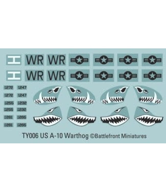 A-10 Warthog Fighter Flight