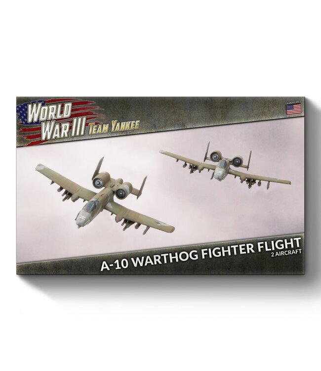 A-10 Warthog Fighter Flight
