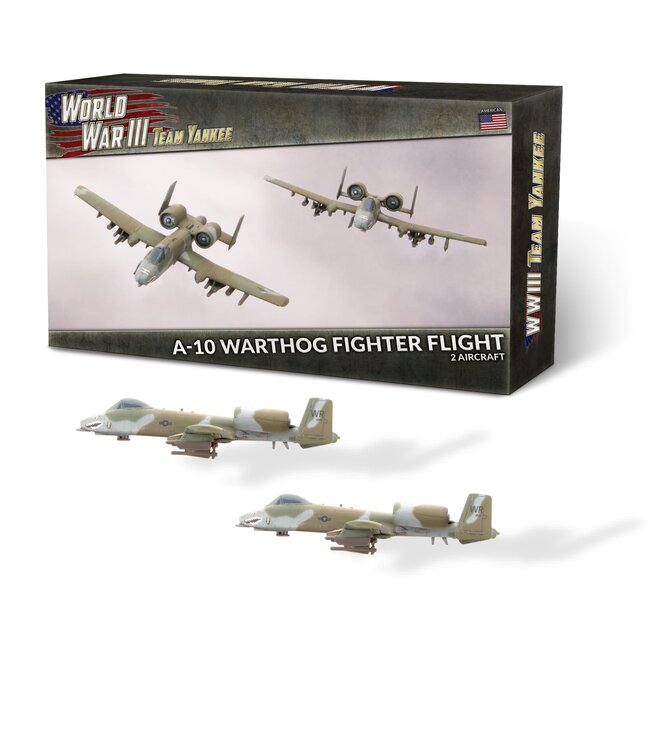 A-10 Warthog Fighter Flight