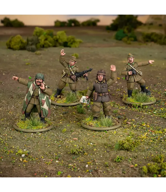 Hungarian Army platoon commanders