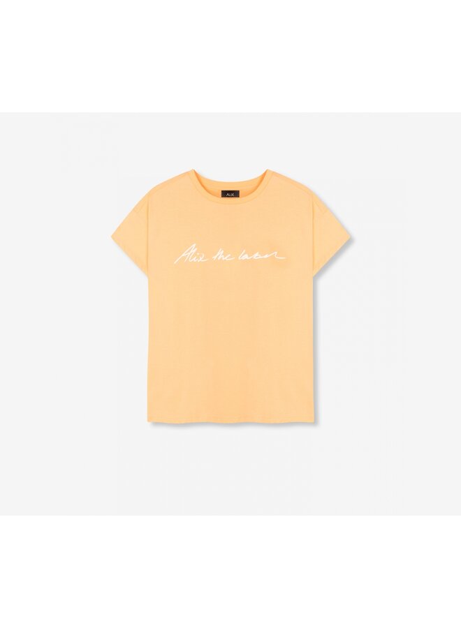 T-shirt ladies knitted Alix the label T-shirt light salmon