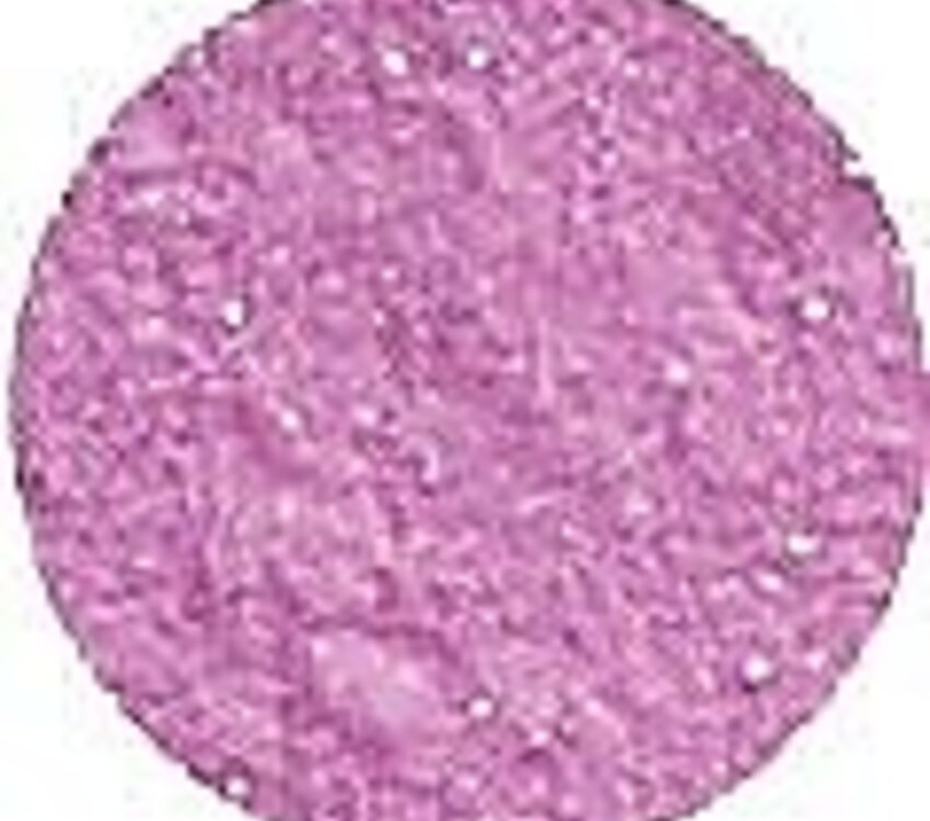 Ezflow Masquerade 0.75oz