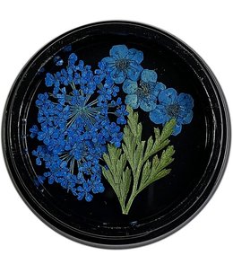 Magpie Blue Dried Flowers