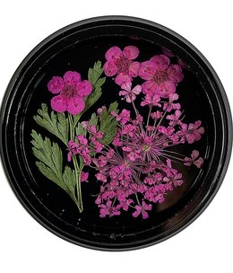 Magpie Hot Pink Dried Flowers