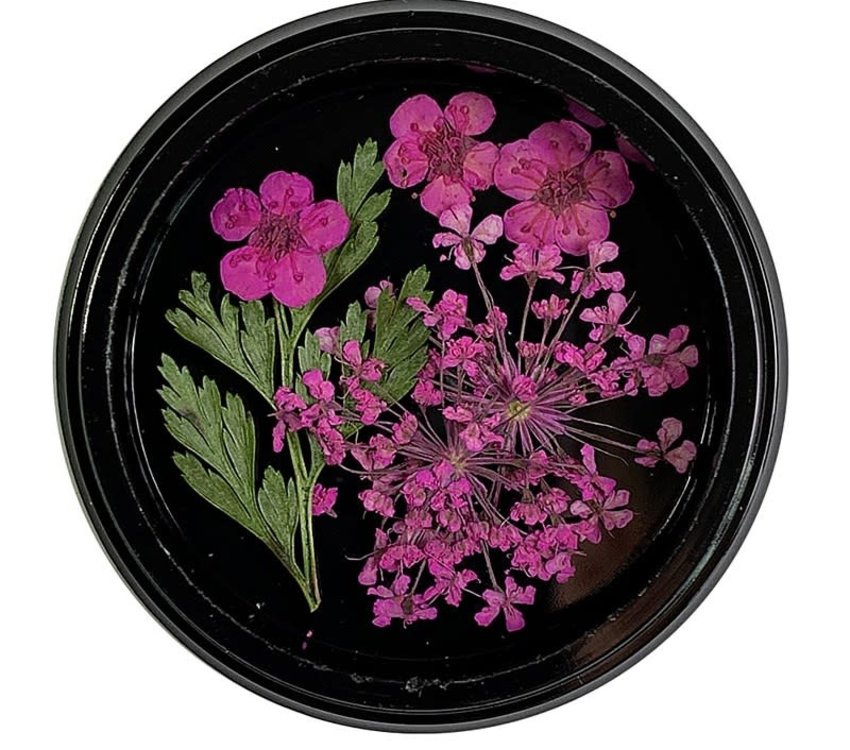 Magpie Dried Flowers Hot Pink