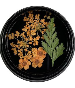 Magpie Orange Dried Flowers