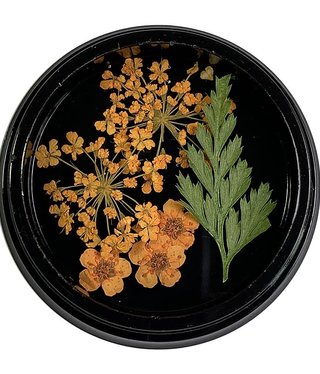 Magpie Orange Dried Flowers