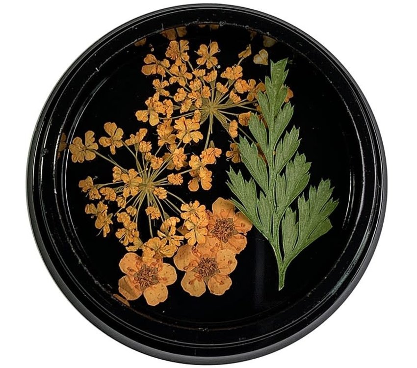 Magpie Dried Flowers Orange