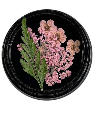 Magpie Pink Dried Flowers