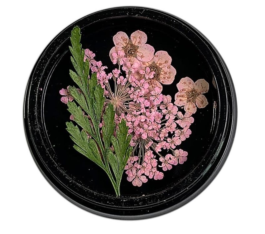 Magpie Dried Flowers Pink