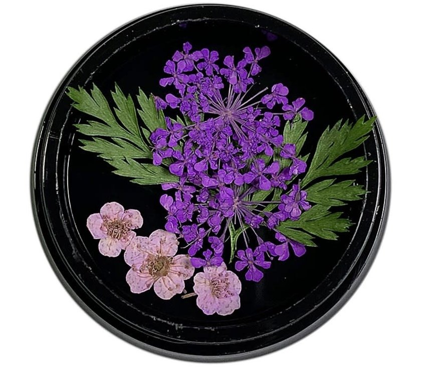 Magpie Dried Flowers Purple