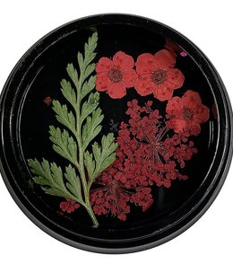 Magpie Red Dried Flowers