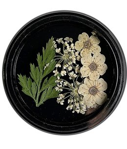 Magpie White Dried Flowers