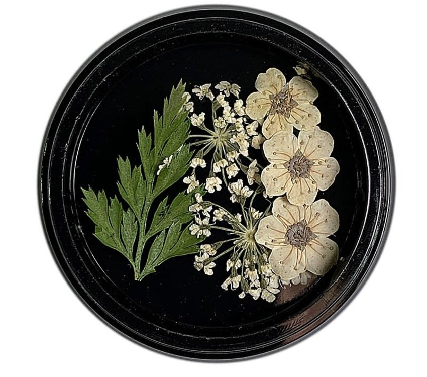 Magpie Dried Flowers White