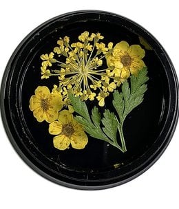 Magpie Yellow Dried Flowers