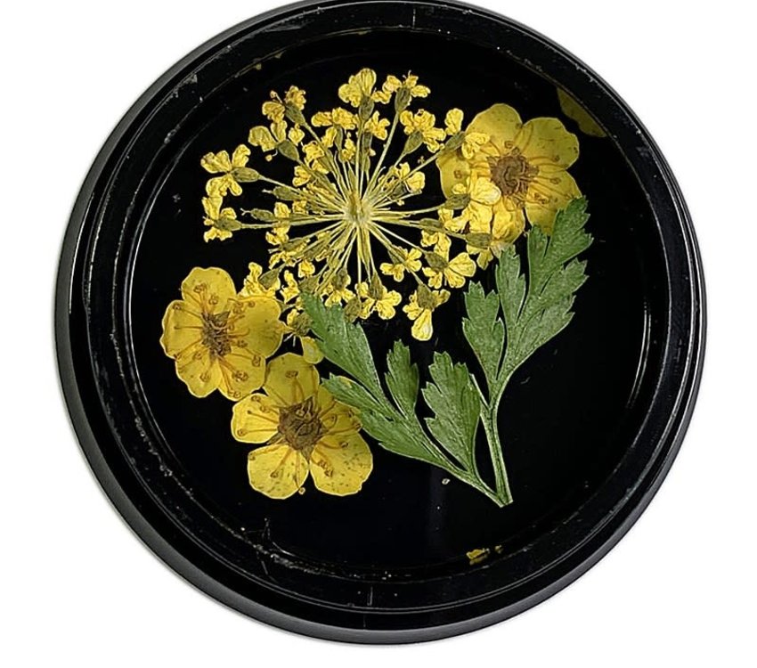 Magpie Yellow Dried Flowers