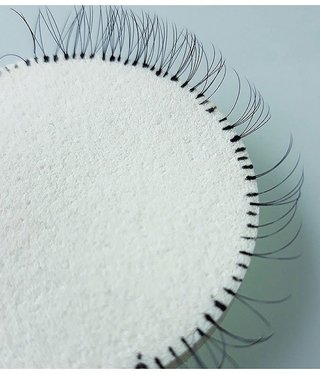 Kalentin Latex Round Sponge 2pk