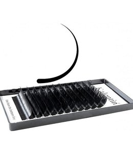 Kalentin Flat D Curl 0.20 11mm