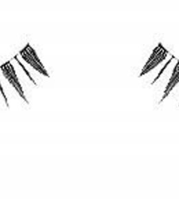 Ardell Ardell Lash Demi 102