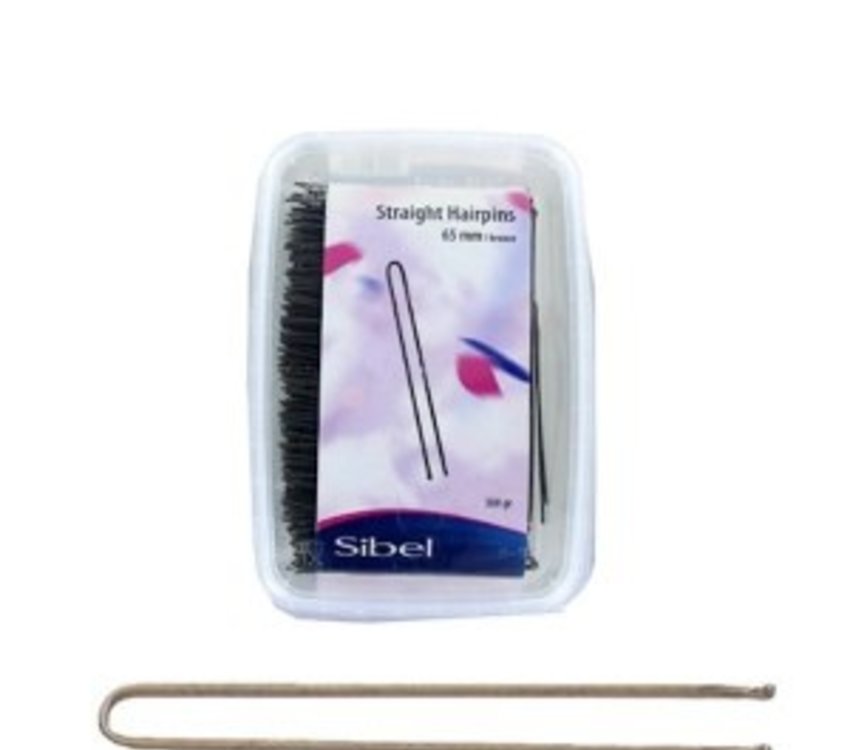 Sibel Hair Pin Straight Black 500