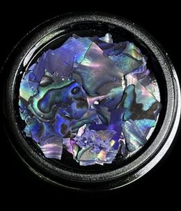Magpie Shells Blue 8