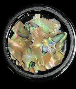 Magpie Shells Natural 1