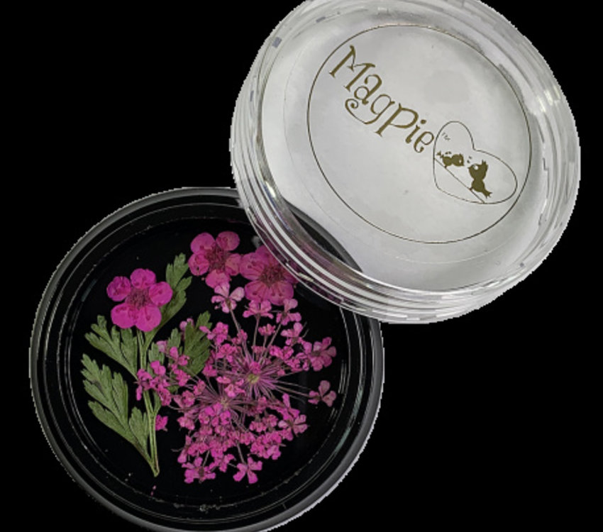 Magpie Dried Flowers Hot Pink