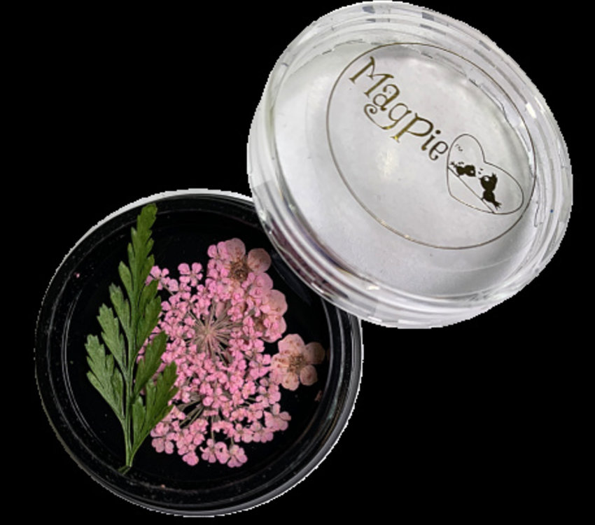 Magpie Dried Flowers Pink
