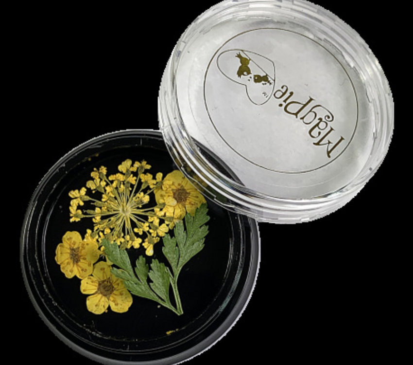 Magpie Yellow Dried Flowers