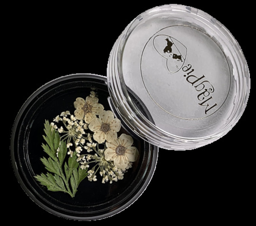 Magpie Dried Flowers White