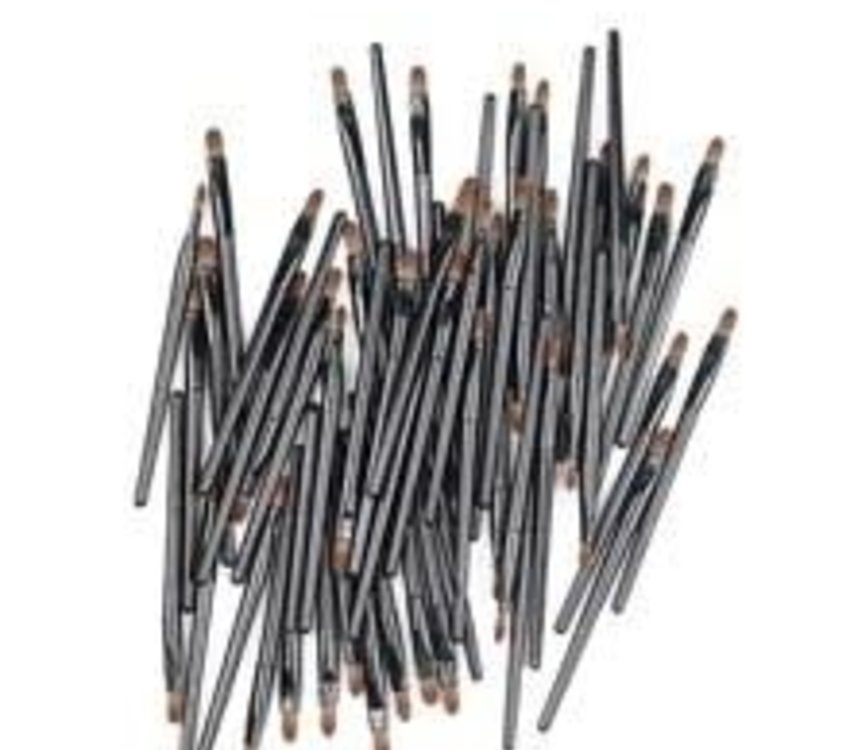 Hive Solutions Disposable Lip Brushes 25PK