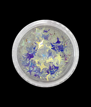 Magpie Starry Sky Iridescent Shape Pot