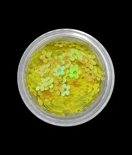 Magpie Magpie Shape Pot Flowers Yellow