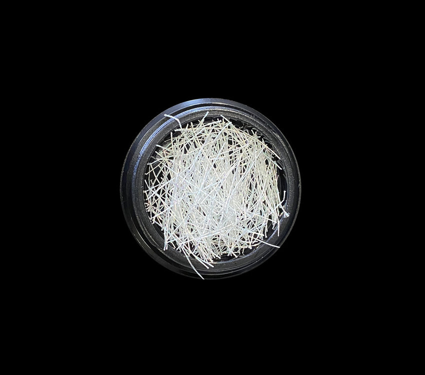 Magpie Oyster White Strands