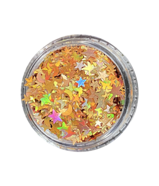Magpie Gold Holo Moon & Stars Shape Pot