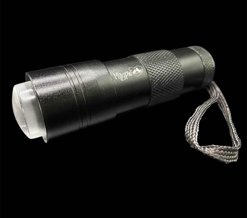 Magpie LED Light Plus Sponge