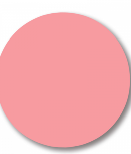 NSI NSI Attraction Coral Pink Powder