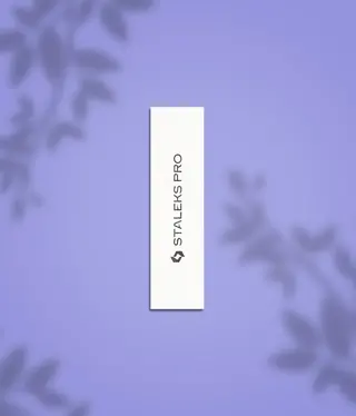 Staleks Block buffer 10 pack 150grit