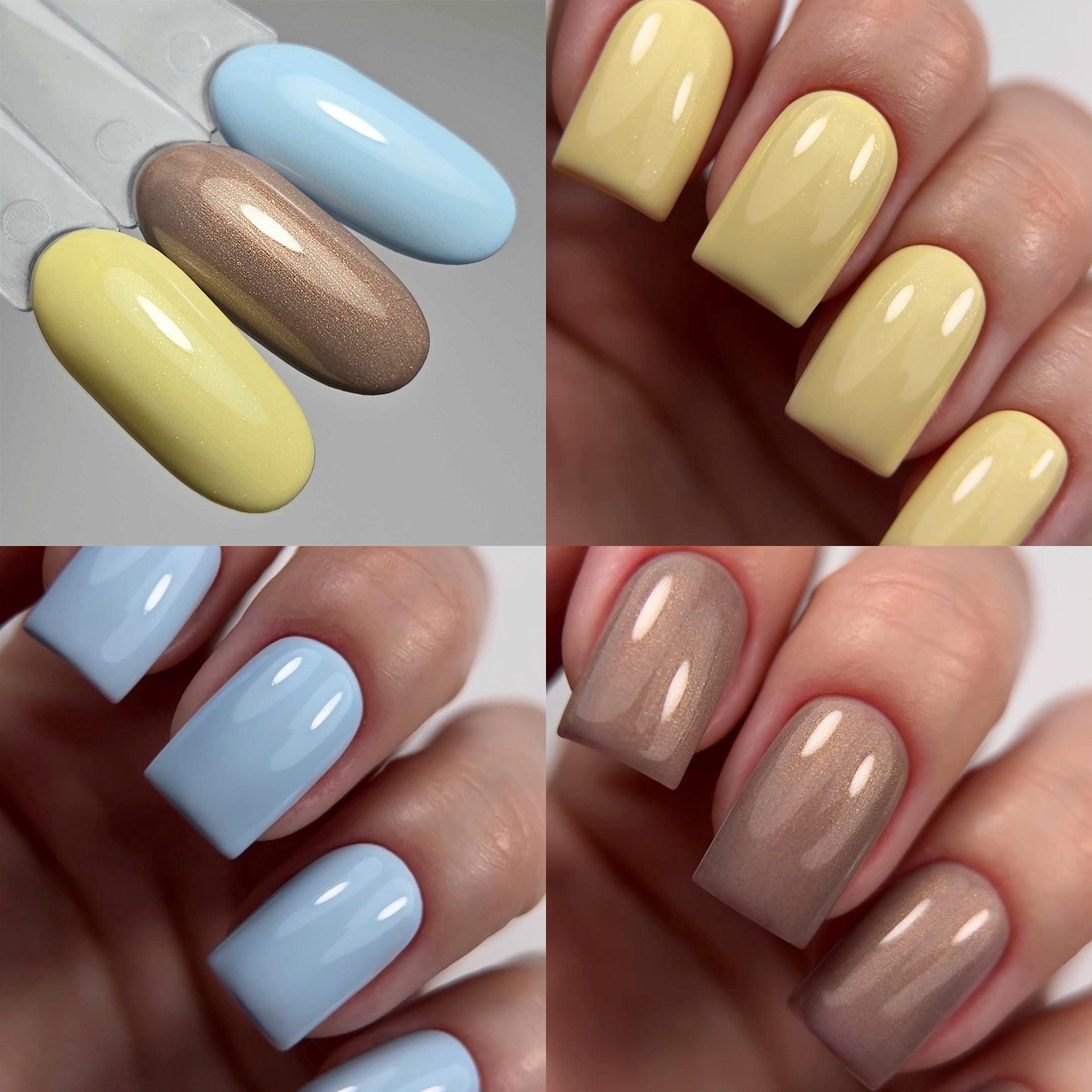 Spring Trend Collection