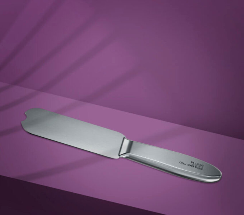 Staleks Metal foot file, base EXPERT 10