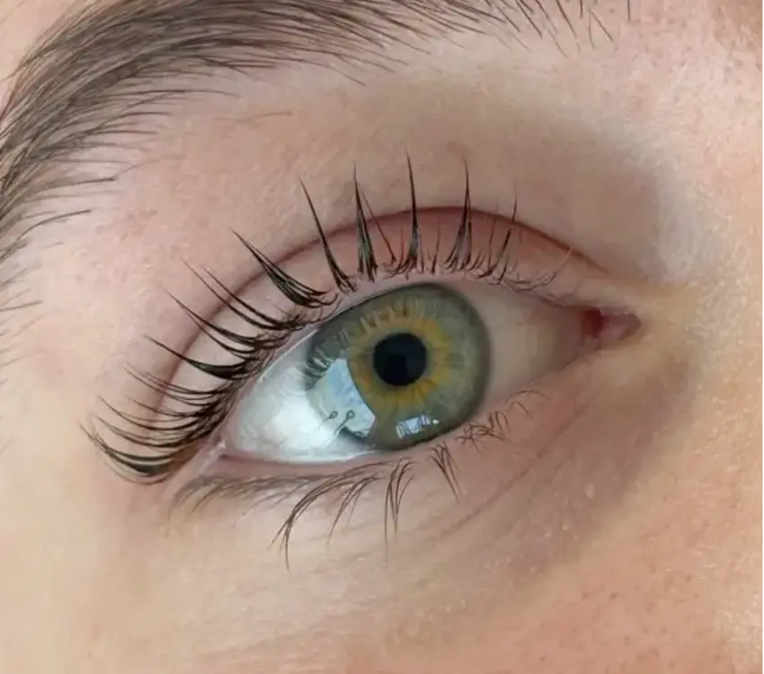 Kalentin Korean Lash Lift