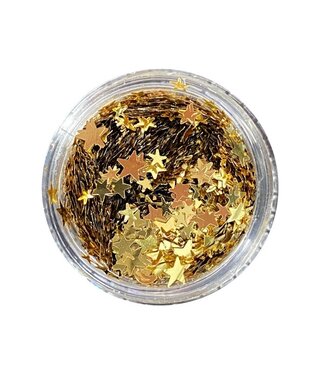 Magpie Gold Moon & Stars Shape Pot