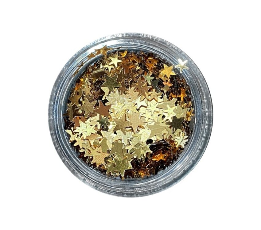 Magpie Rose Gold Stars Shape Pot